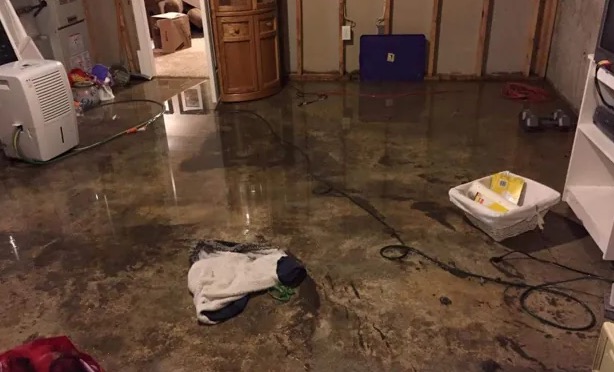 Emergency Water Extraction in Gleneagle, CO