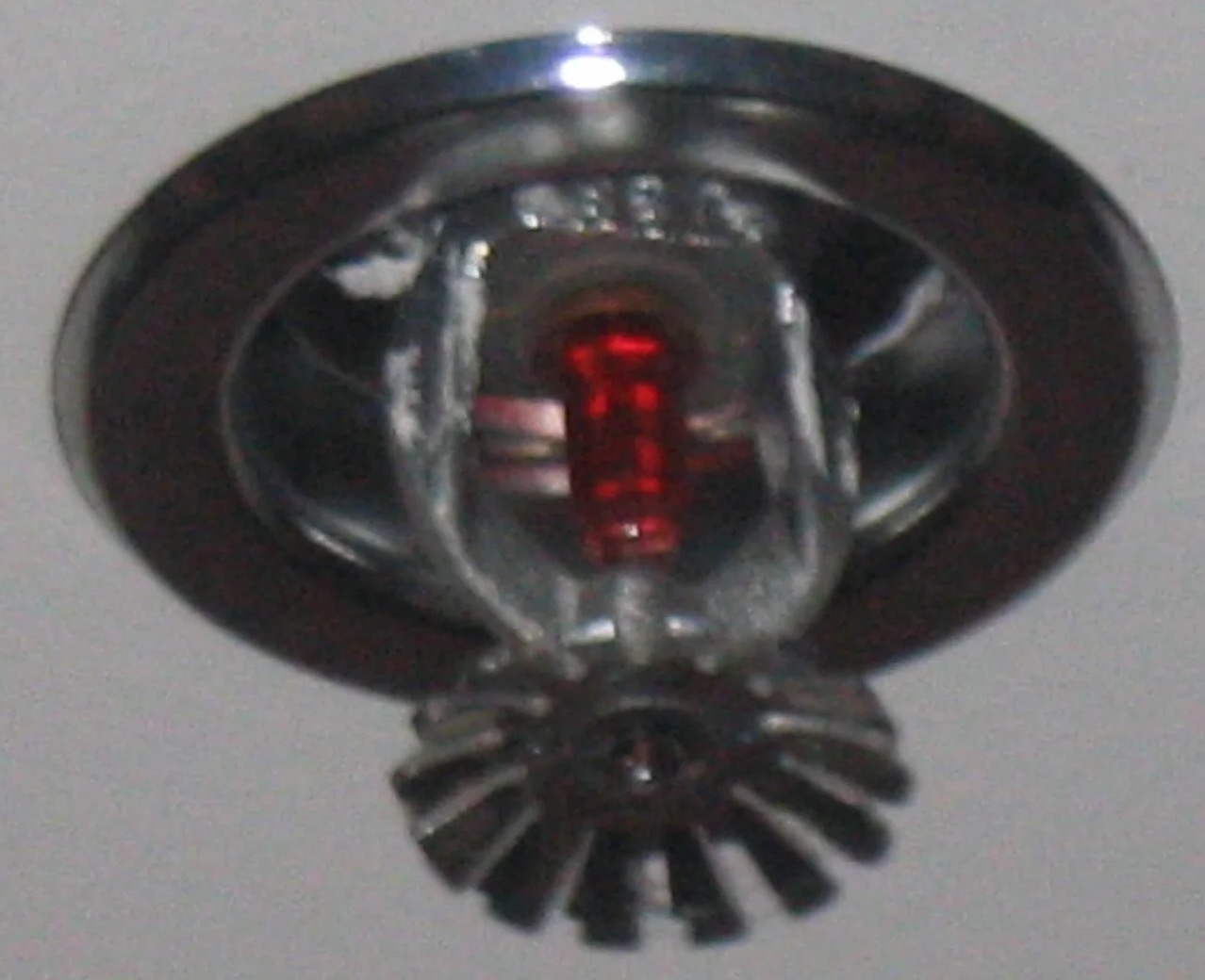 Sprinkler System Water Removal in Victor, CO
