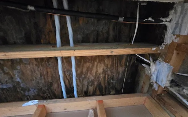 Attic Water Removal in Fort Carson, CO