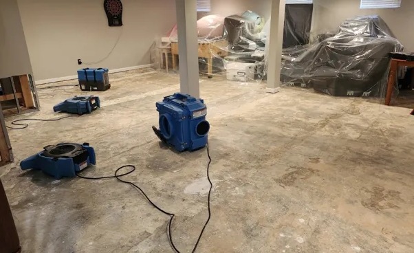 Wall Mold Removal in Colorado Springs, CO